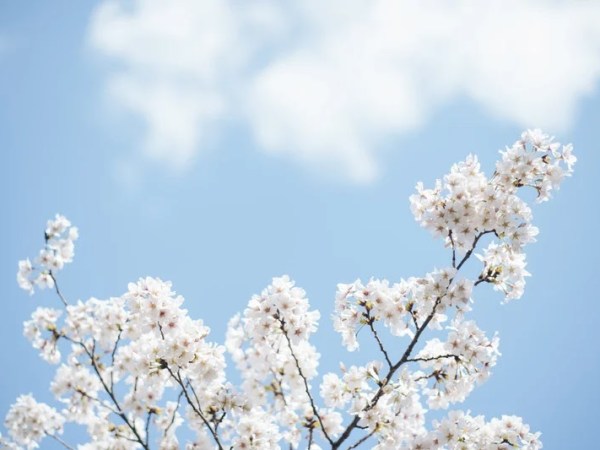 【病棟看護師時代の思い出】